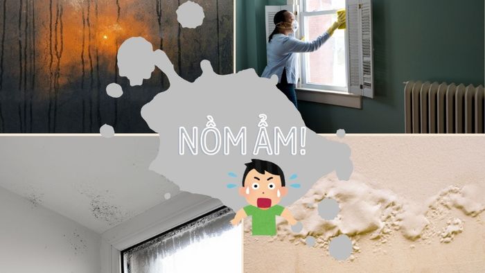 thoi-tiet-nom-10
