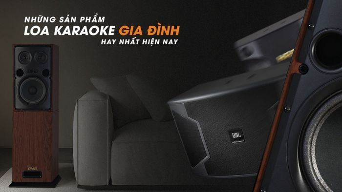 loa-hat-karaoke-gia-dinh-10