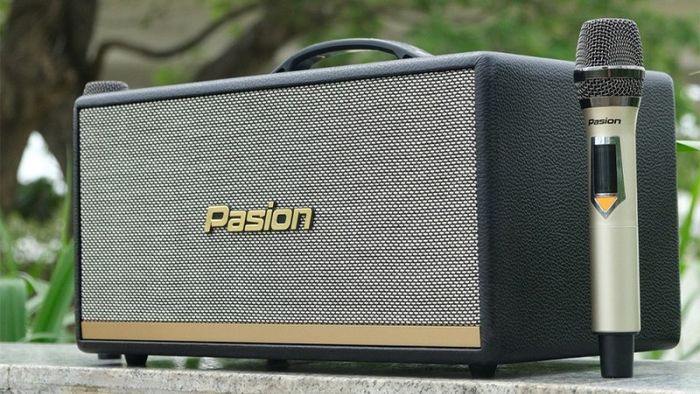 loa-hat-karaoke-gia-dinh-3