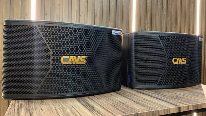 loa-hat-karaoke-gia-dinh-9