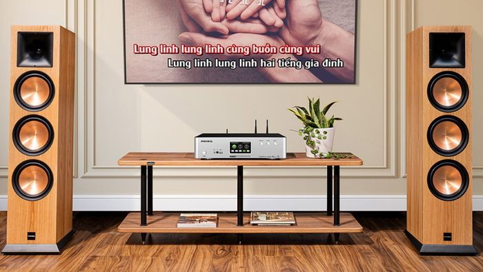 loa-hat-karaoke-gia-dinh-12