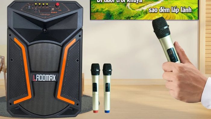 loa-hat-karaoke-gia-dinh-2