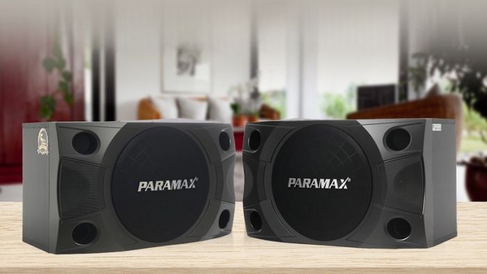 loa-hat-karaoke-gia-dinh-8