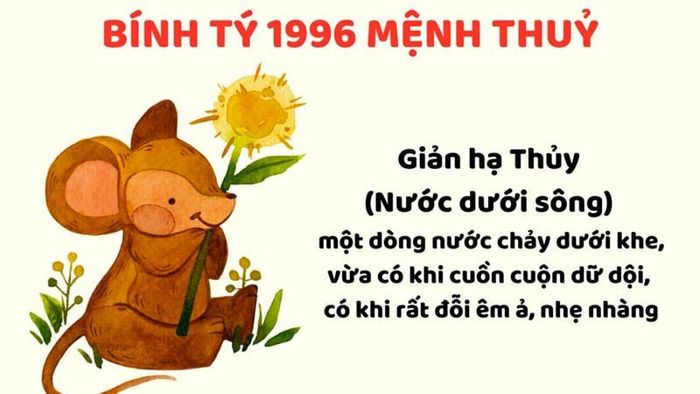 Tổng quan về tuổi Bính Tý 1996 trong năm 2026
