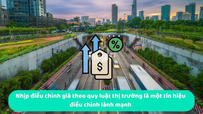 Nhịp điều chỉnh giá theo quy luật thị trường là tín hiệu điều chỉnh tích cực, phản ánh sự vận động của thị trường một cách tự nhiên và lành mạnh