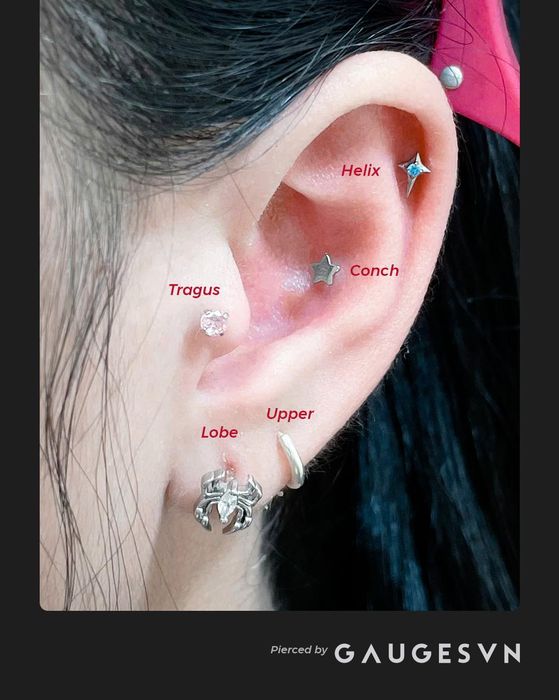 Gauges Piercing – Hình ảnh 2