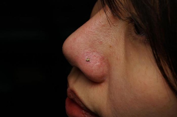 Vịt Xỏ Khuyên – Hình ảnh 2