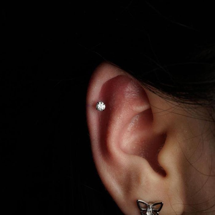 Vịt Xỏ Khuyên – Hình ảnh 1