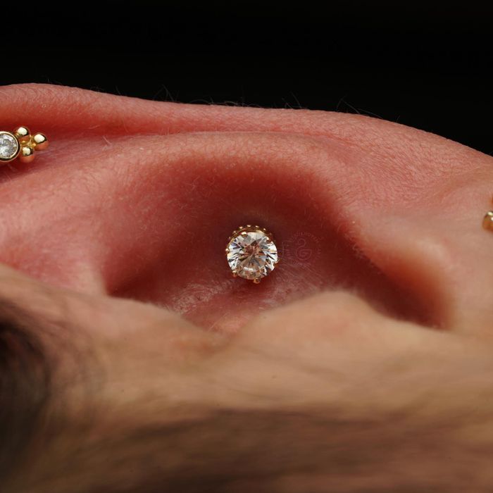 Vịt Xỏ Khuyên – Hình ảnh 3