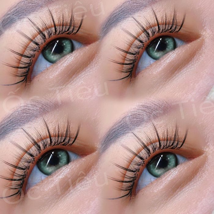 Nối Mi Ốc Tiêu hình ảnh 1