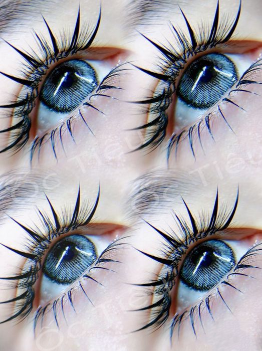 Nối Mi Ốc Tiêu hình ảnh 2