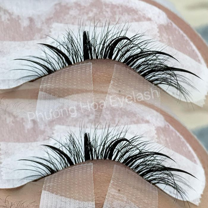 Phương Hoa's Eyelash ảnh 2
