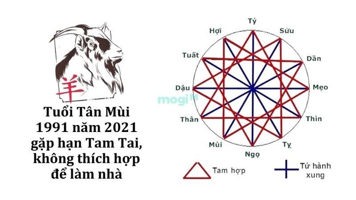 Năm 2026 là năm Bính Ngọ, nằm trong chu kỳ hạn Tam Tai của tuổi Tân Mùi 1991