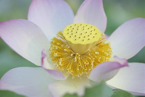 Nguyên tắc sống mang lại phước lành lớn lao