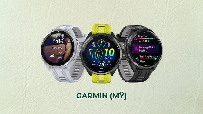 hãng đồng hồ điện tử - Garmin
