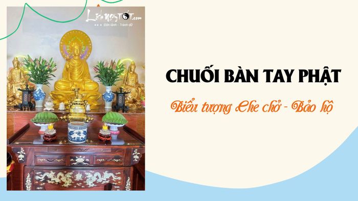 Chuối bàn tay Phật đặc biệt