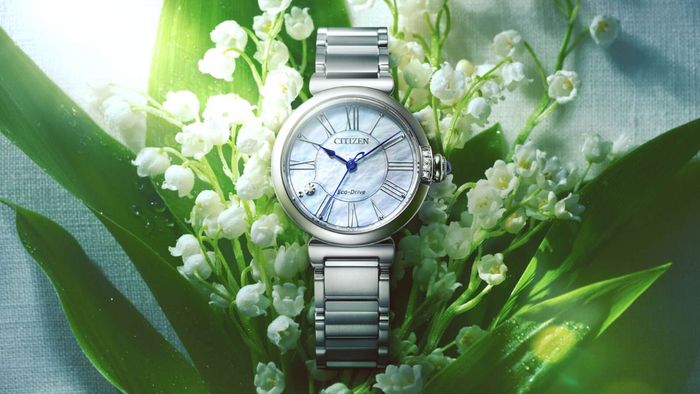 Các thương hiệu đồng hồ nữ đẹp - Citizen