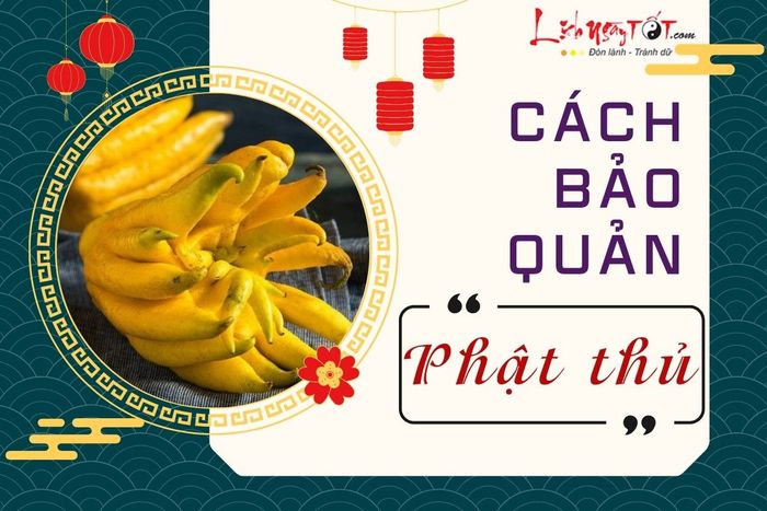 Cách bảo quản Phật thủ