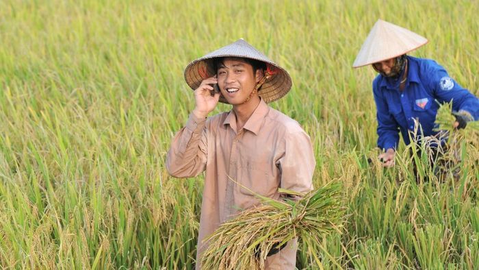 tat-song-2g-co-nghe-goi-duoc-khong-giai-dap-chi-tiet-cho-nguoi-dung-7