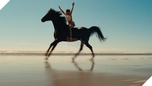 Hình ảnh trong bộ phim The Black Stallion.