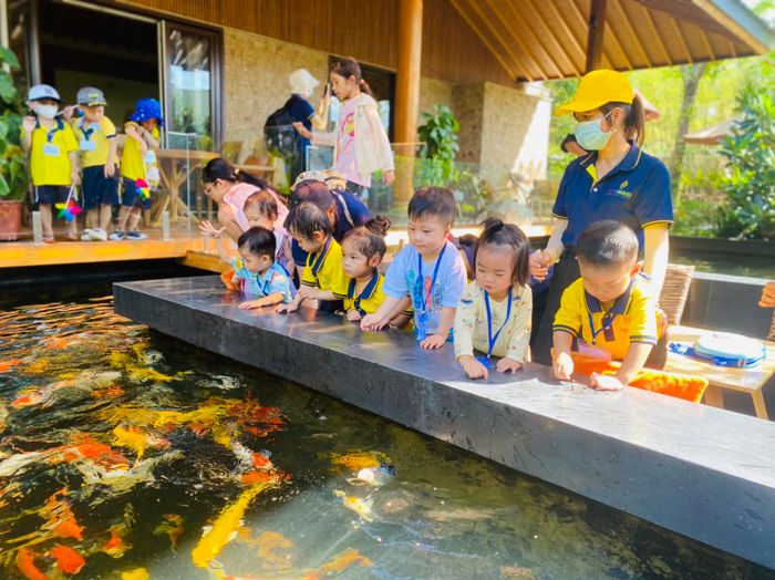 Trường Mầm Non Anh ngữ TopMind - Ảnh 2