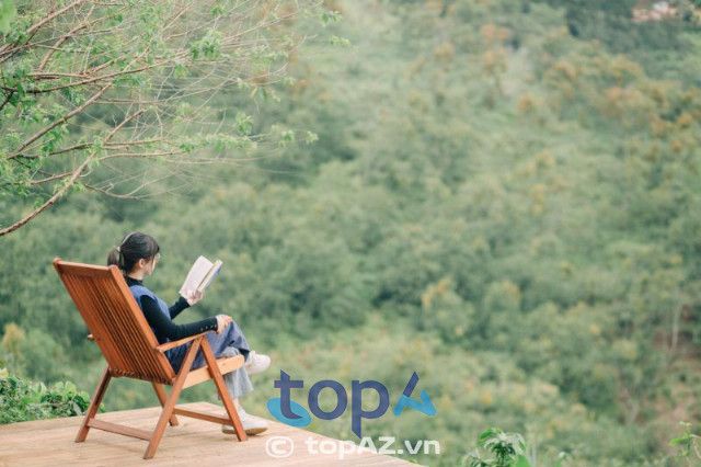 quán cà phê view rừng thông đà lạt