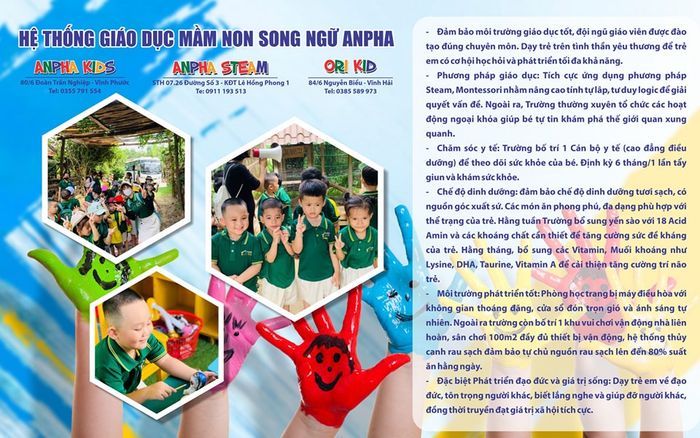 Trường mầm non Song ngữ Anpha Kids - Ảnh 1