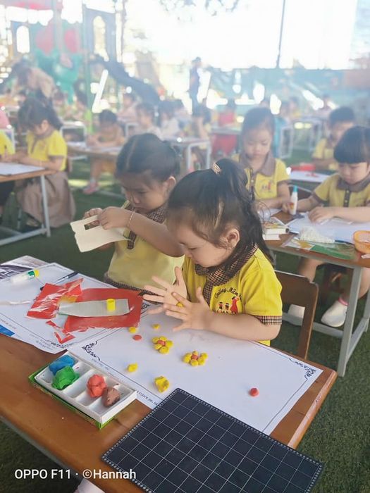 Trường Mầm Non Trà My - TP Pleiku hình ảnh 2