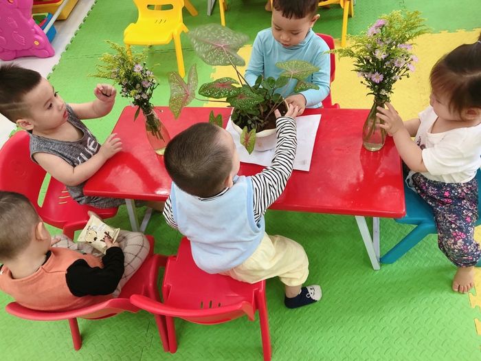 Mầm Non Ngôi Sao Nhỏ - Little Star hình ảnh 1