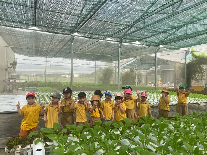 Trường Mầm Non Chất Lượng Cao Ong Vàng Nha Trang - Ảnh 1