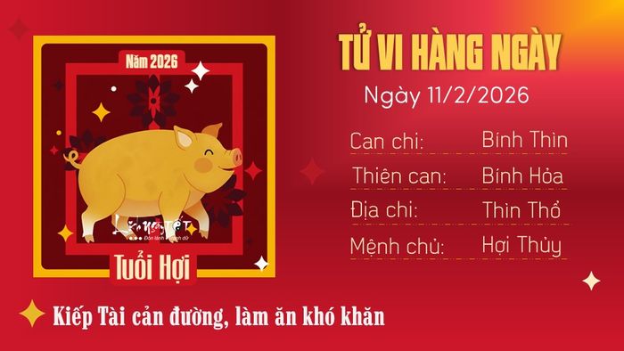 Tử vi hàng ngày 11/2/2026 - Hợi