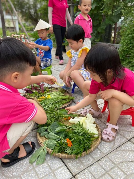 MN Ngôi Nhà Trẻ Thơ - Kid's House Preschool hình ảnh 2