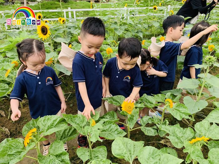 Ảnh của Trường Mầm Non Rainbow Hải Phòng 1