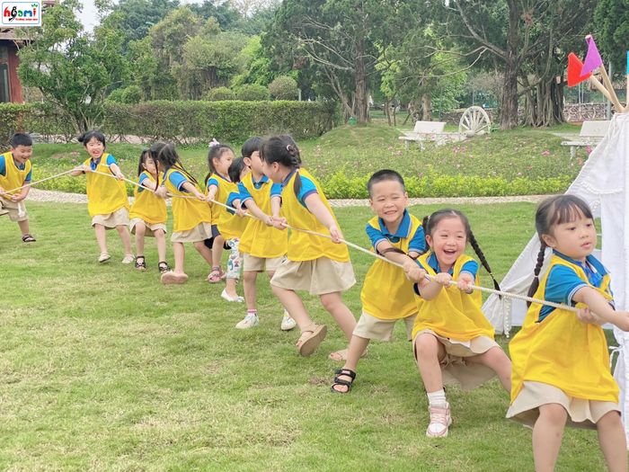 Mầm Non Họa Mi hình ảnh 2