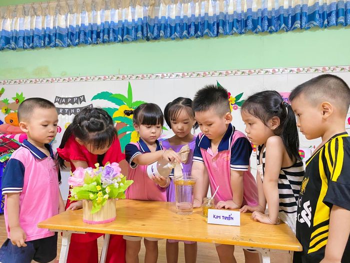 Hình ảnh Trường Mầm Non Hoa Anh Đào 2