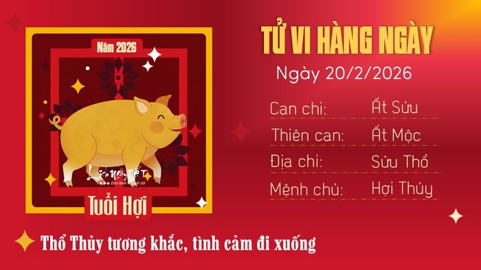 Tử vi hàng ngày 20/2/2026 - Hợi