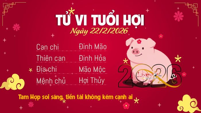 Tử vi hàng ngày 22/2/2026 - Hợi