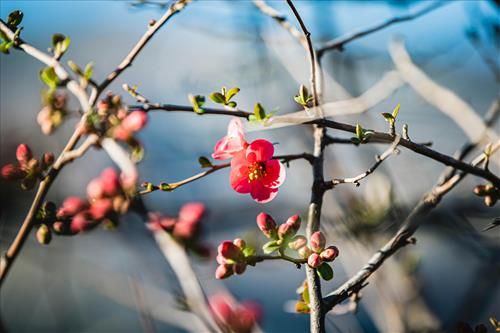Tử vi tuần mới của 12 cung hoàng đạo (23/2 - 1/3/2026)