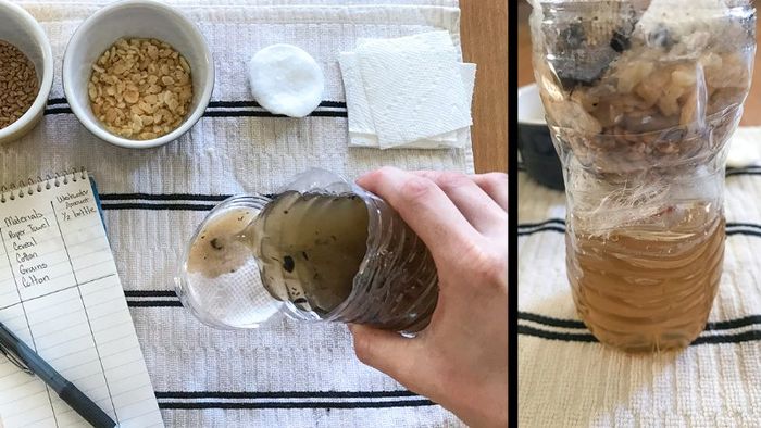 cach-lam-may-loc-nuoc-8