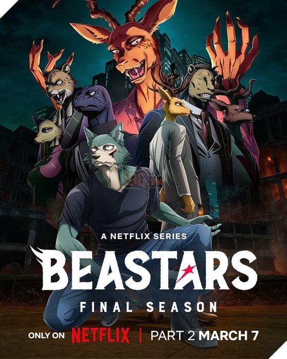 Beastars mùa cuối, phần 2, vừa ra mắt trailer mới, chuẩn bị cho ngày phát hành 7 tháng 3.