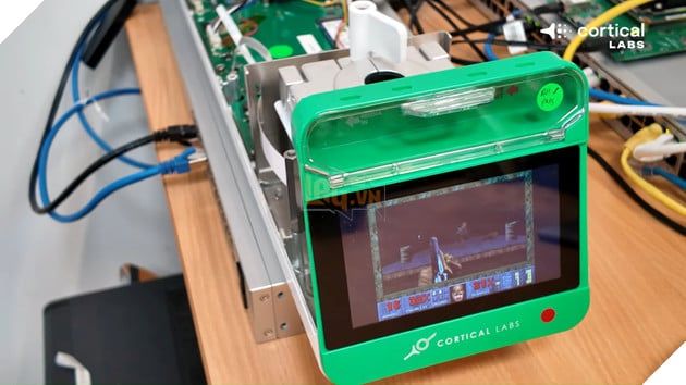 200.000 tế bào thần kinh người được nuôi cấy trên vi mạch có thể chơi Doom, khi Cortical Labs giới thiệu hệ thống CL1 đầy ấn tượng.