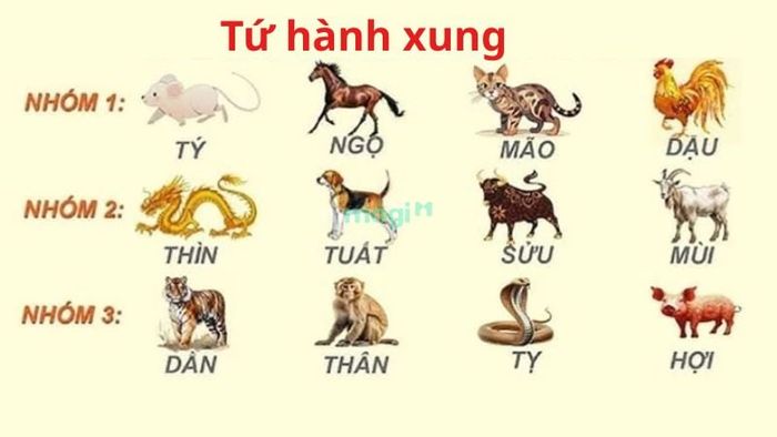 Khi lựa chọn tuổi xông đất 2026, gia chủ cần lưu ý tránh các con giáp thuộc nhóm tứ hành xung để tránh vận xui.