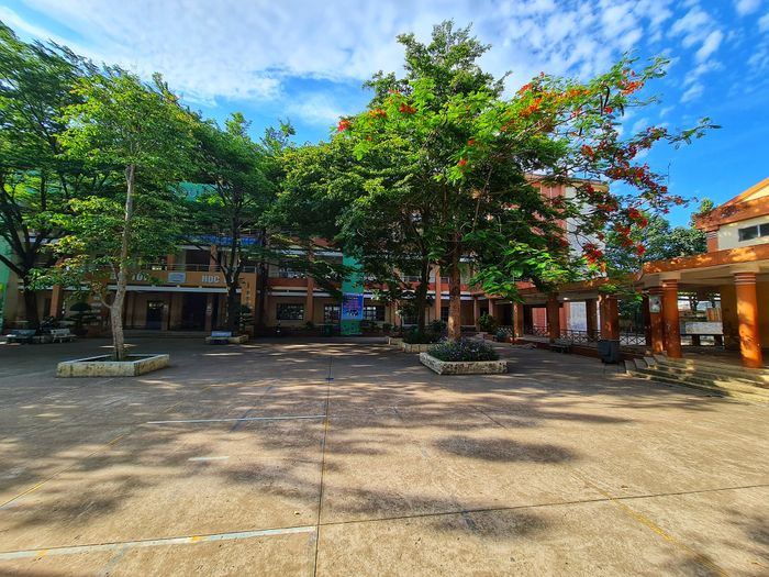 Hình ảnh Trường THCS Phước Tân 1 - Ảnh 2