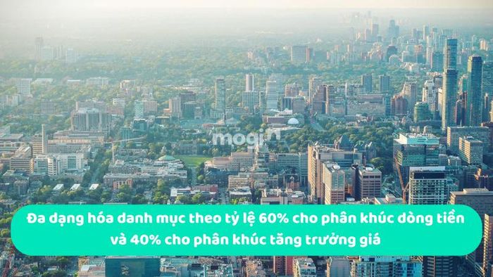 Đa dạng hóa danh mục đầu tư theo tỷ lệ 60% cho phân khúc tạo dòng tiền và 40% cho phân khúc tăng trưởng giá