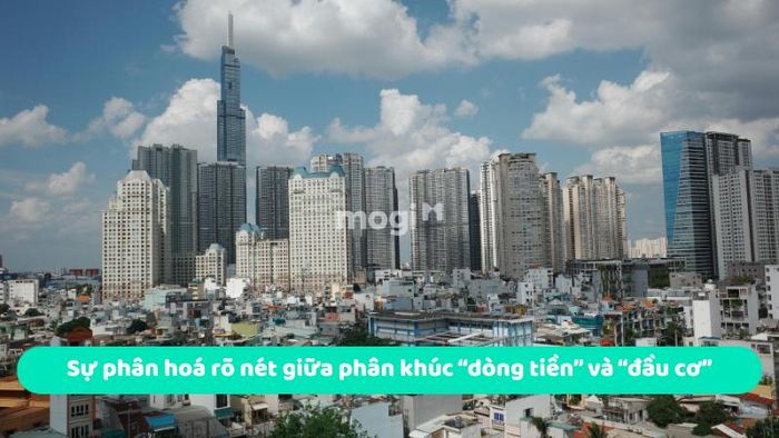 Sự phân hoá rõ rệt giữa phân khúc “dòng tiền” và “đầu cơ”