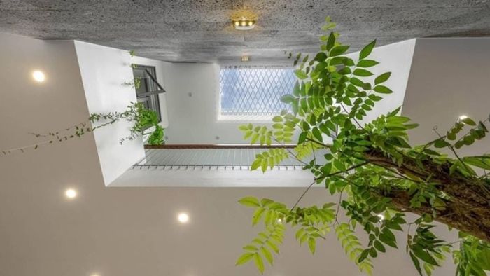 Giếng trời nên được đặt ở vị trí có thể thu hút ánh sáng và gió tự nhiên tốt nhất cho ngôi nhà (Nguồn: VTC News)