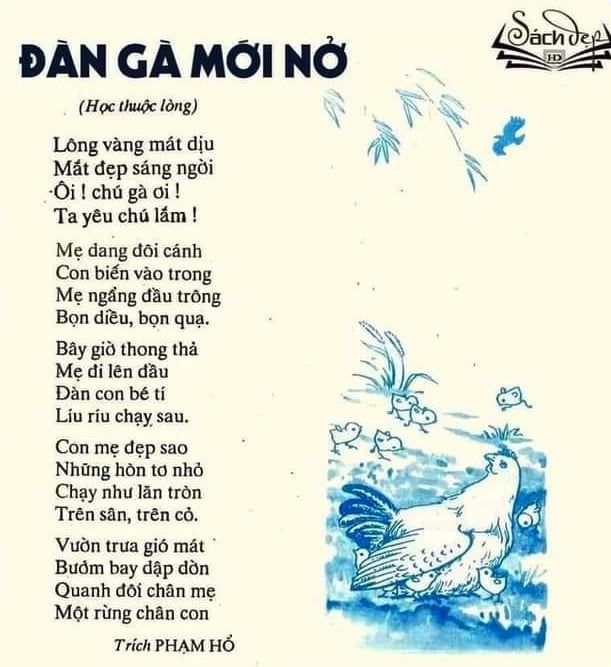 Đàn Gà Mới Nở ảnh 1