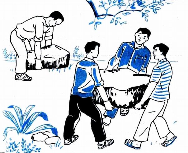 Hòn đá to ảnh 1