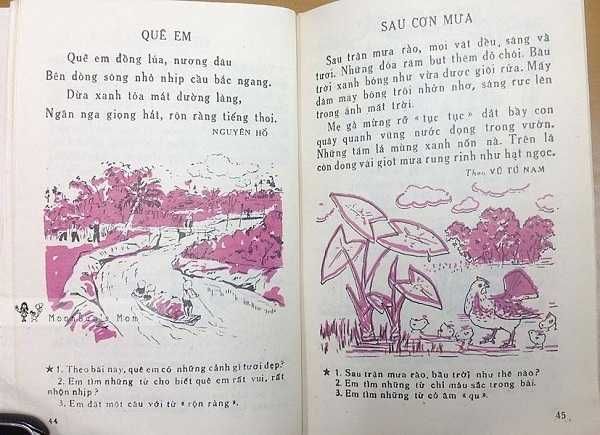 Sau cơn mưa rào - hình ảnh 1