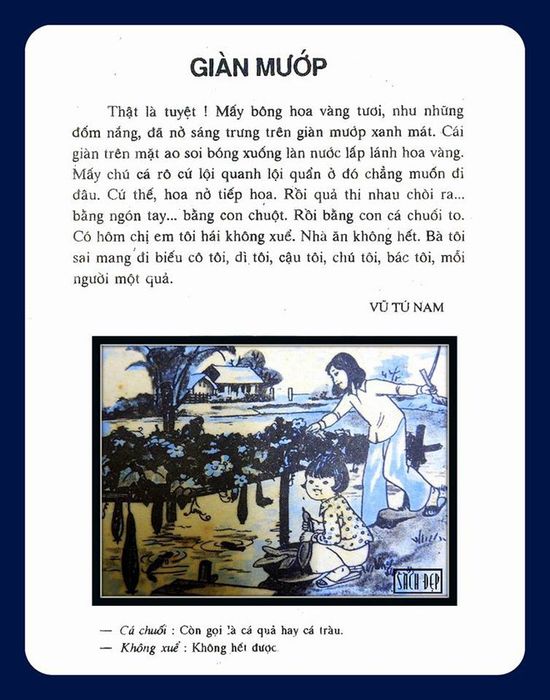Giàn mướp xanh mướt - hình ảnh 1